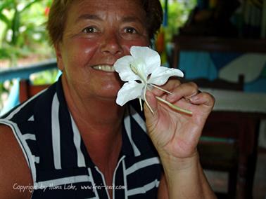 2010 Cuba, Chivirico - Baracoa, DSC00008b_B740